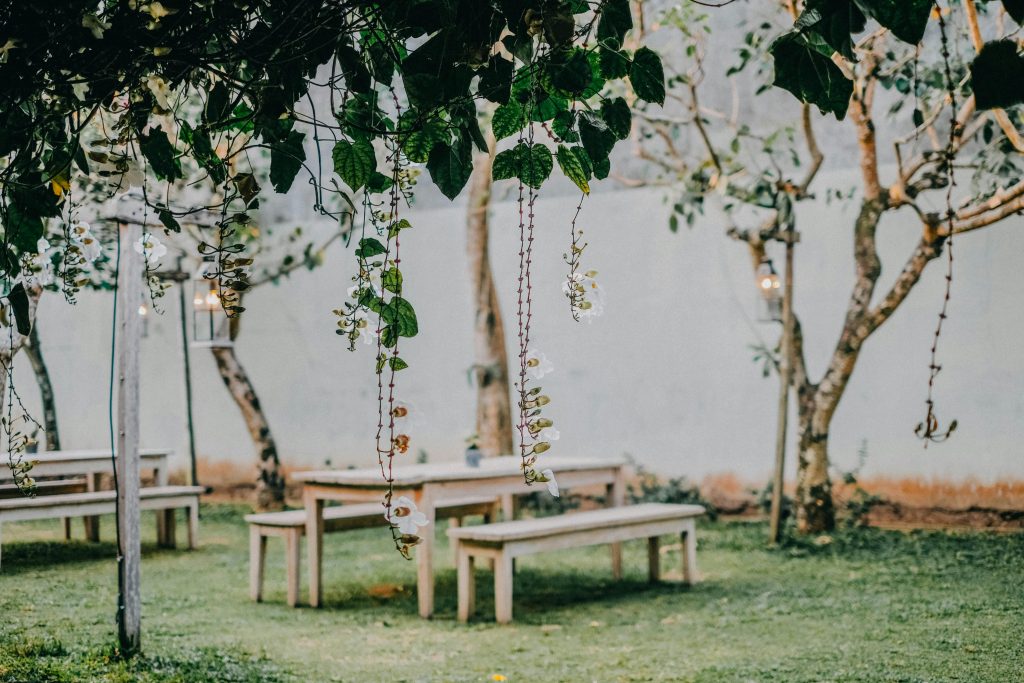 pexels-photo-1416572-1416572 Peaceful garden setting featuring wooden benches and tables under a lush vine arbor.